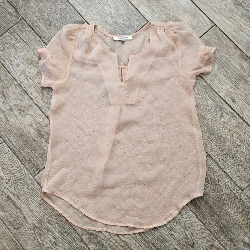 Daniel Rainn Light Pink Sheer Clip Dot Short Sleeve Blouse Size S